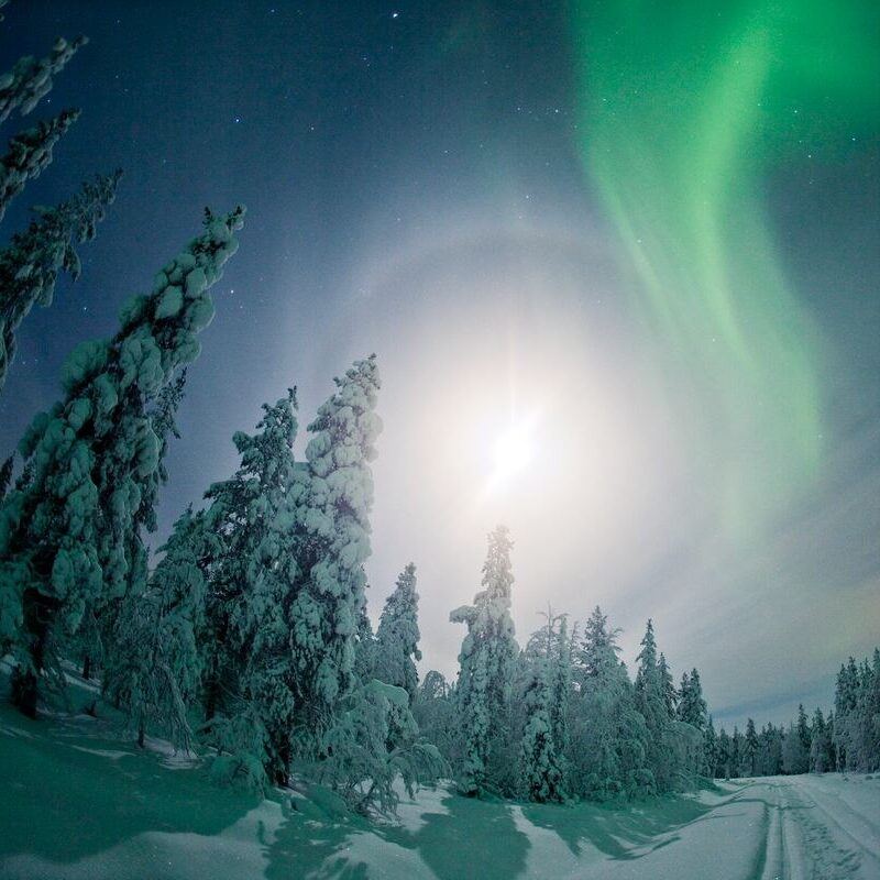 auroras boreales en laponia